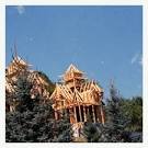Oso Leone